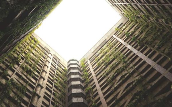 الرياضة والشباب في قلب أخبار عربية ممتعة