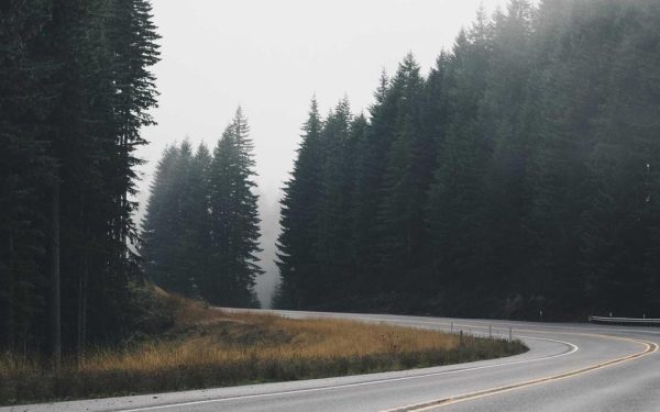 دور أخبار عربية في العصر الرقمي الحديث وتأثيرها على المجتمع