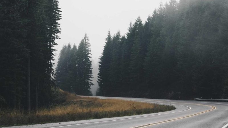 دور أخبار عربية في العصر الرقمي الحديث وتأثيرها على المجتمع