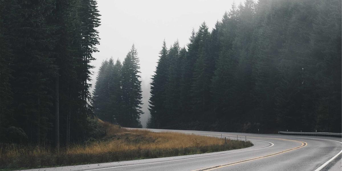 دور أخبار عربية في العصر الرقمي الحديث وتأثيرها على المجتمع