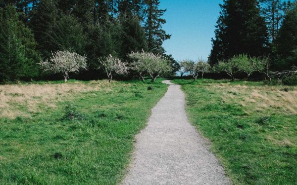 مستقبل التكنولوجيا والابتكار في أخبار عربية تقنية متخصصة