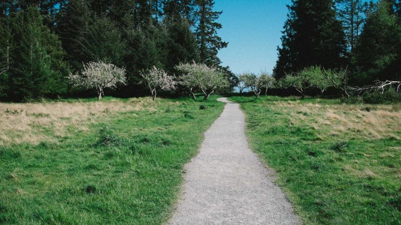 مستقبل التكنولوجيا والابتكار في أخبار عربية تقنية متخصصة