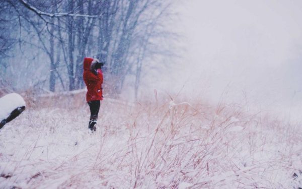 الرياضة والثقافة كجسر للتواصل الإنساني في أخبار عربية عالمية