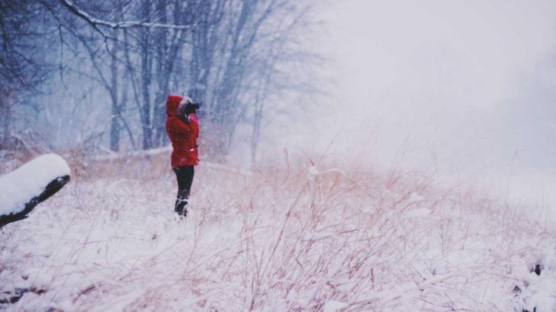 الرياضة والثقافة كجسر للتواصل الإنساني في أخبار عربية عالمية